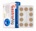 GastroAlg.jpg